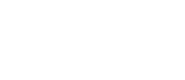 TPL Security Logo